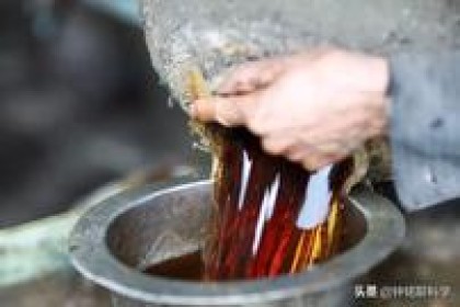 蛇酒变蛇尸酒！ 八条毒蛇泡酒22年，喝了一杯就中毒了。 为什么它们有毒？