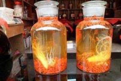 每晚喝两两枸杞酒对身体好还是不好？ 营养师告诉你答案