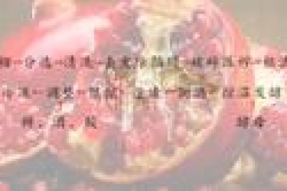 果酒酿造工艺——“清汁发酵石榴酒”