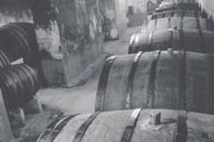 张裕地下酒窖：跨越三个世纪的酒文化地标