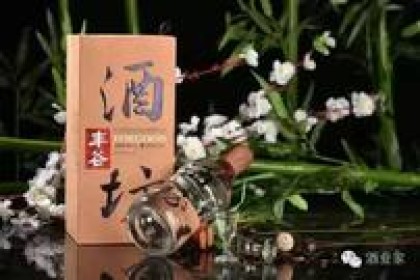 专访马斌：彻底杜绝交叉销售，考虑明年取消销售团队任务考核