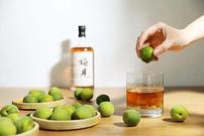 自制梅酒有哪些危害？ 自制梅酒要注意这3点