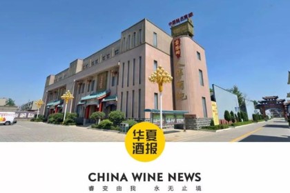 国内罕见！ 景阳岗藏有2800多件名贵酒器