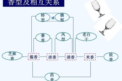 白酒的12种风味类型是什么？ 两张图你都能看懂，这5种你喝过就是行家