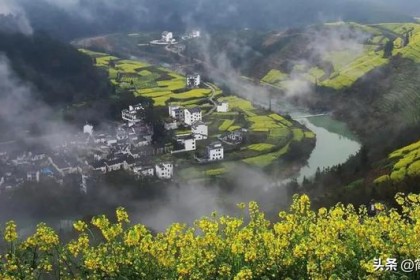 安徽三大“败类酒”，口碑不输古井贡酒，为何外省没人喝
