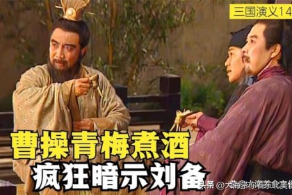 你喝过《三国演义》中的“青梅酒”吗？ 我今天会教你怎么做