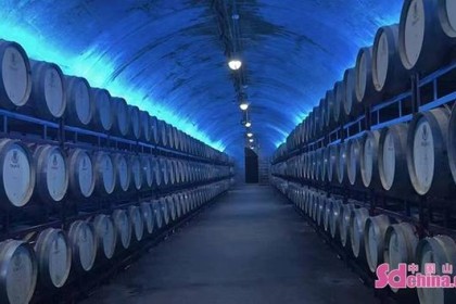 中国首家世界级葡萄酒博物馆——张裕酒文化博物馆更新升级