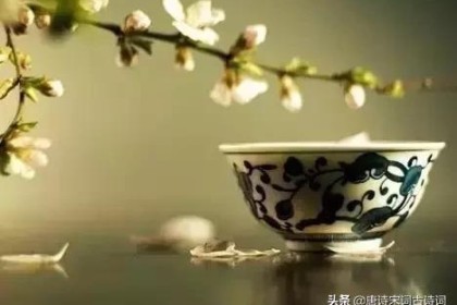 诗八：静品茶香