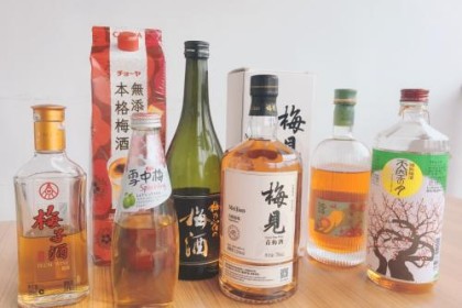 巧雅、梅建青梅酒……最全面的青梅酒测评，哪一款值得父亲节送礼？