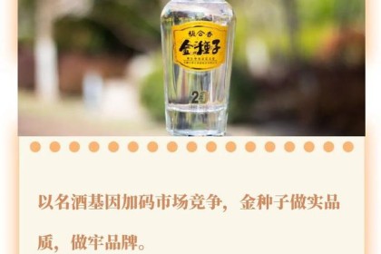 提前锁定消费蓝海，金种子开启品牌进化逻辑