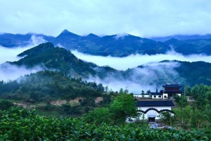 曾经辉煌全国的湖北白酒一哥，如今风头无两。 局外人：太可惜了