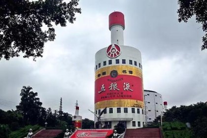 四川喝“怪现象”，高端五粮液，低端凤谷酒，但这4种也受青睐