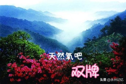 双卡人的饮食习惯