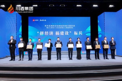 川酒集团荣获2022年“抓经济、搞建设”标兵