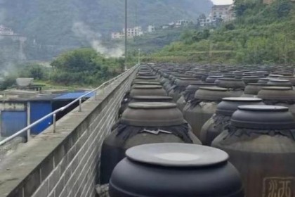 买粮酒要多少钱