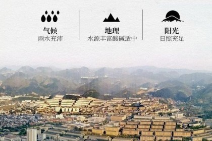 赖茅1997-庆祝香港回归特别公斤赖茅，为何如此受酒友欢迎？