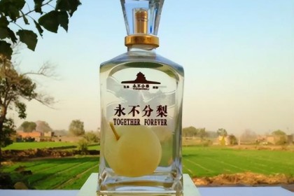 “不分梨”的五粮液酒瓶里的梨怎么了？ 给爱喝酒的人的忠告