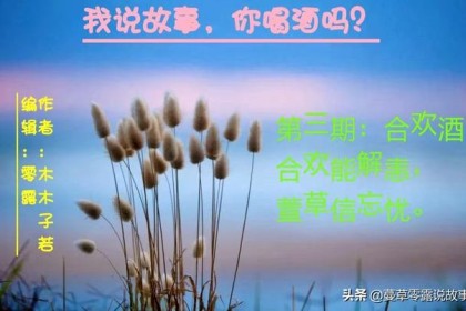 合欢 合欢酒：合欢能祛火，黄花菜能忘忧
