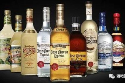 六大基酒之一“龙舌兰酒”