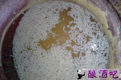 说到烧酒【蒸馏】关于家庭酿造技术的必读文章。