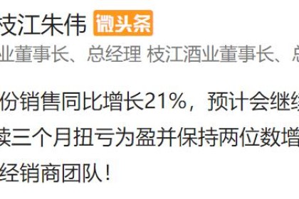 从暴跌亏损到持续增长盈利，朱伟88天的“枝江新政”