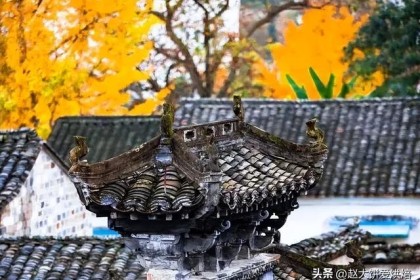 在安徽喝酒是一种“怪现象”。 当地人不喝古井古5，却对这4款酒情有独钟
