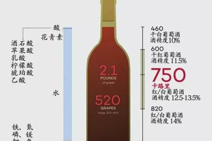 葡萄酒入门的6个技巧，很实用！