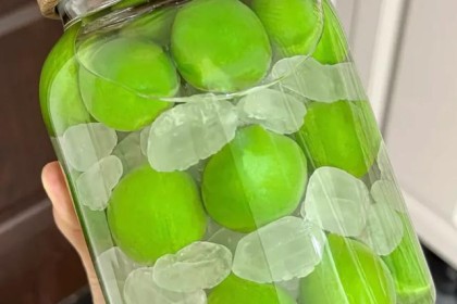 好像找到了自制不翻身梅酒的方法㊙️决定了