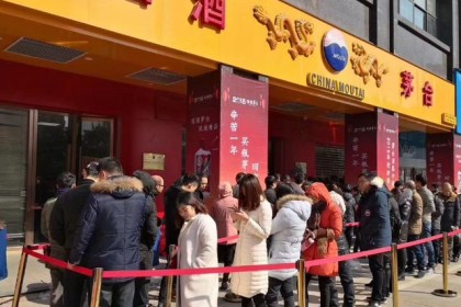 茅台怪现象：明年产量1亿瓶，全国加盟店近1000家 为什么还是一瓶难求？