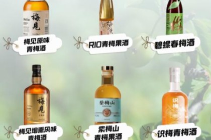 “围炉煮茶”后，“青梅酒”走红，200款梅酒新口味入驻天猫