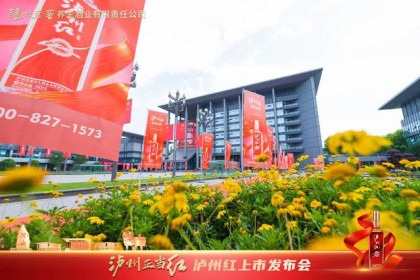 泸州刚红，泸州老窖养生酒攻略新秀——泸州红正式发布
