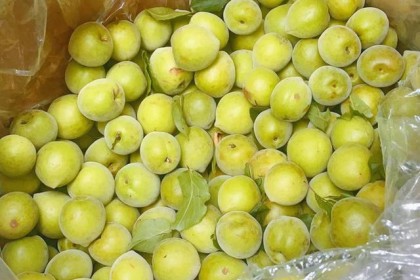 夏日小食：梅酒教程