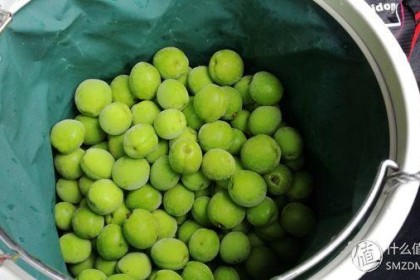 传统工艺，传世秘方：你了解青梅酒吗？