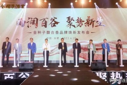 大放送！ 安徽某白酒品牌全面升级！