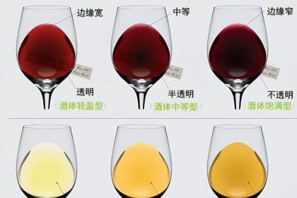 买酒无忧：经典酒款盘点