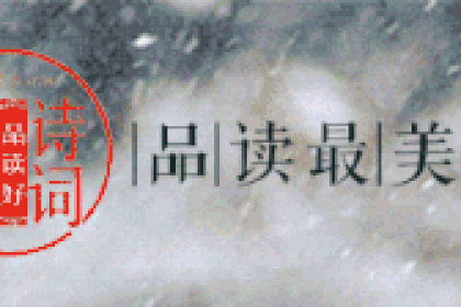 【诗词赏析】飞雪逗捻花，十二首关于雪的诗，让我们领略最美的雪