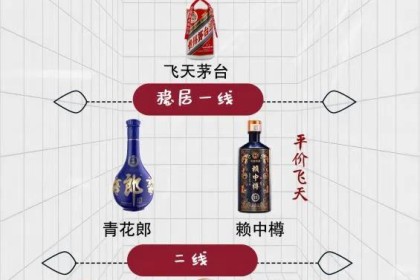 “茅台得道，茅台酒升天”，国内酱香型白酒排行榜，韩江酱排名最后