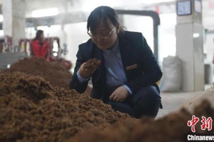 舌尖工匠“千杯尝”：坚守“戒”为酒