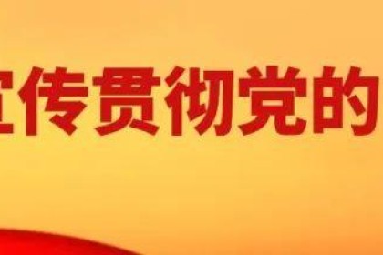“头号种子”！ 金种子新品来袭！ 来看看