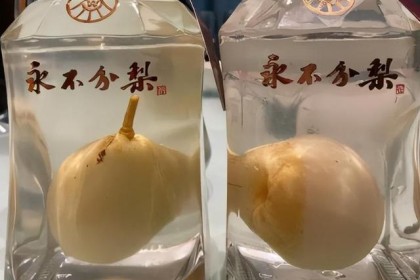 五粮液“不分梨”酒，一个个大梨是怎么装进瓶里的？