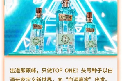 金种子酒的药方：打造百元单品，推广中高端产品，共享华润渠道……