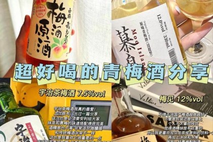 梅酒适合女生分享，一起享受微醉的快乐