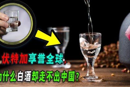 同样是蒸馏酒，为什么伏特加闻名全球，而白酒却只有中国人喝？