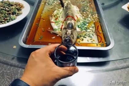 河南酒桌上一大“怪现象”：宝丰、杜康靠边站，这4款口粮酒才是主角