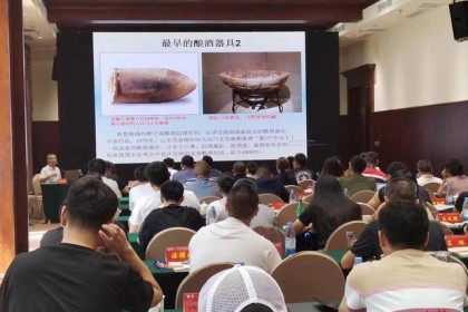 专家谈“中国酒史”：酿酒源于仰韶先民智慧，元代传入蒸馏技术，中国白酒问世