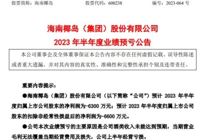 海南椰岛上半年由盈转亏 金籽酒亏损较少