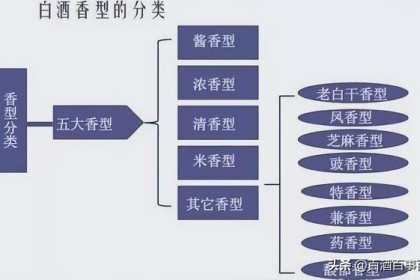 江西四大特酒，哪四大特？