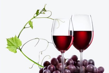 中国很早就开始酿造葡萄酒。 中国酒的史料有哪些？